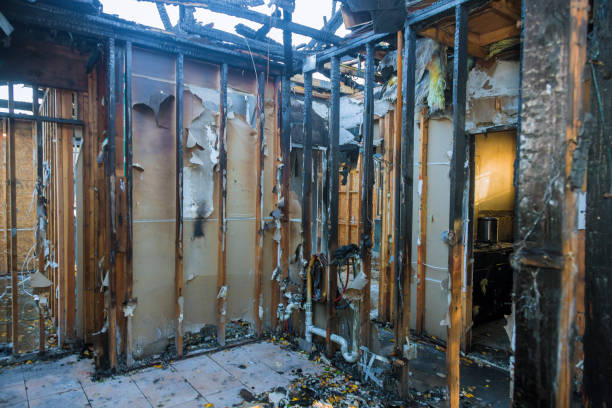 Professional Fire Damage Repair technician working in Monkton, MD